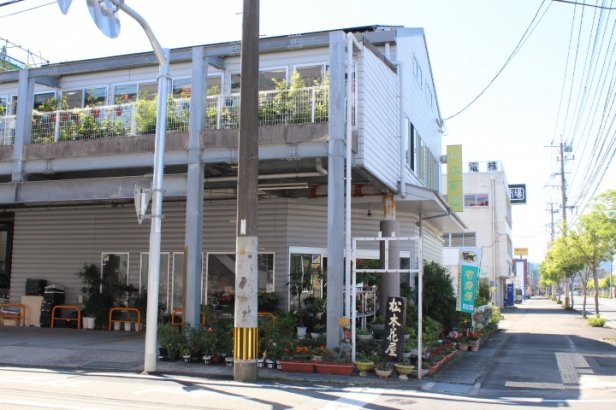 有限会社　松本花屋